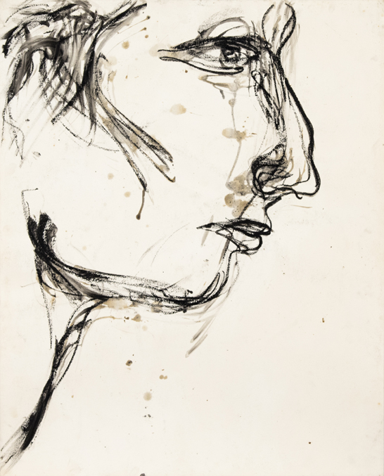 Profile of a Young Man